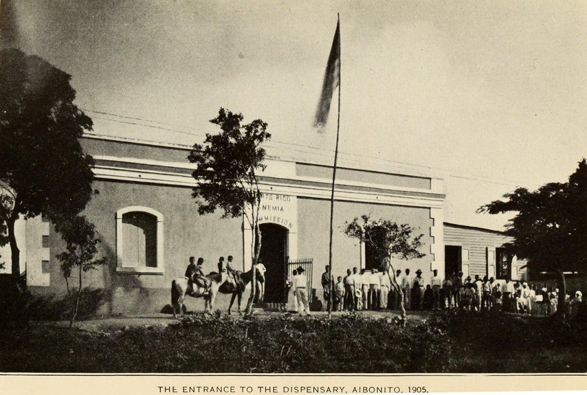 aibonito dispensary